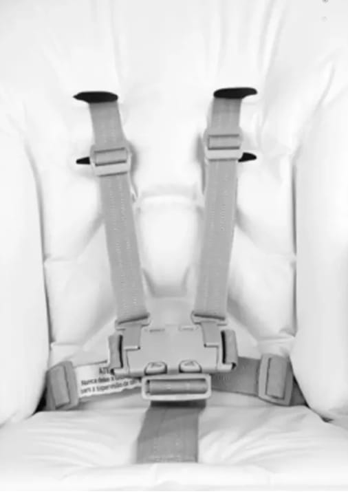 Cinto Burigotto - Imagem 2